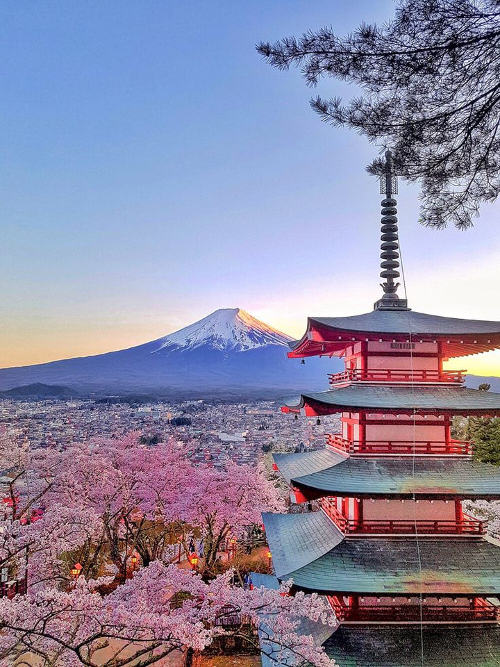 【日本】
